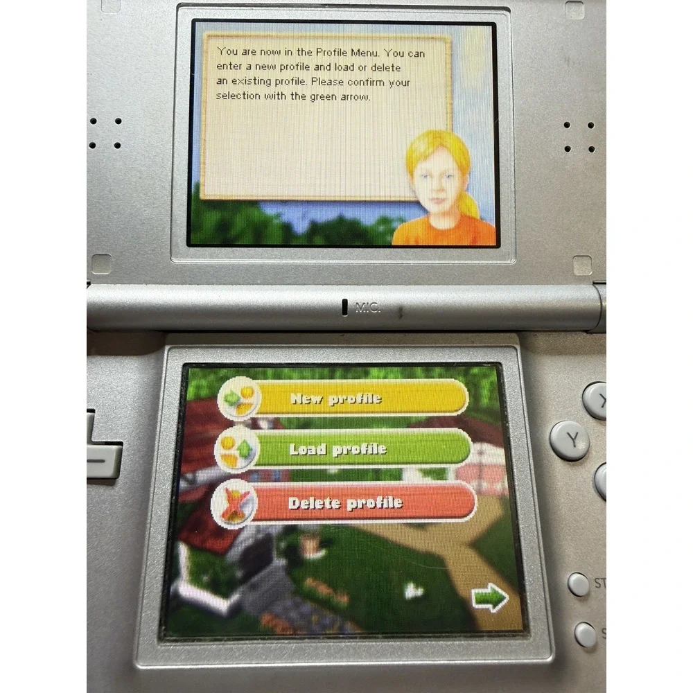 Nintendo ds game